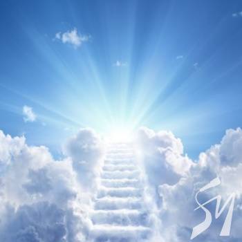 � ������������� Library art center �'������� ���������� �� ���� ���